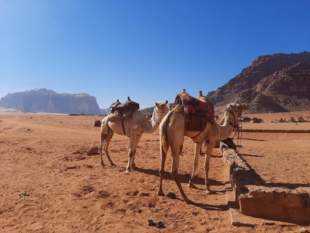 Wadi Rum Secrets Camp Bagian luar foto