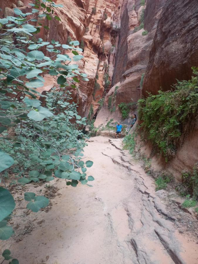 Wadi Rum Secrets Camp Bagian luar foto