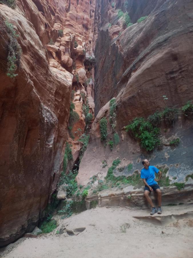 Wadi Rum Secrets Camp Bagian luar foto